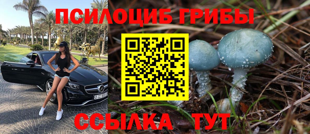 Галлюциногенные грибы Magic Shrooms Еманжелинск